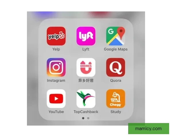 18款禁用APP免费版大全最新资源汇总与安全使用指南推荐